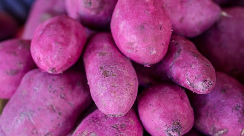 Close-up image of a file of purple Ube of different shapes and sizes to support Ube flavor article