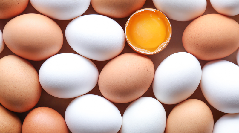Pile of eggs to support rising costs article