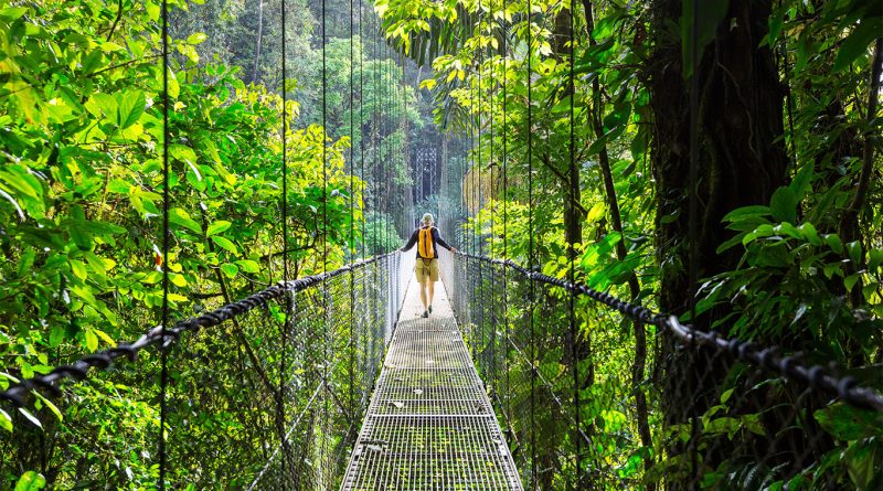 Person walking over treetop bridge in Costa Rica to support Culinary tourism article