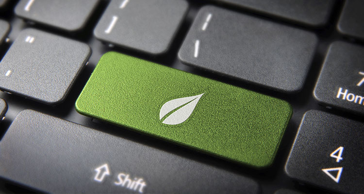a close-up view of a laptop keyboard, with the primary focus on a prominent, bright green key featuring a white leaf icon