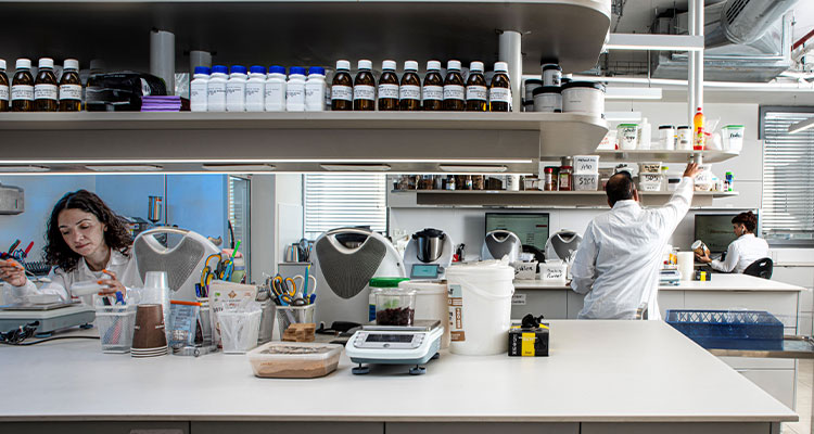 Food scientists in a laboratory