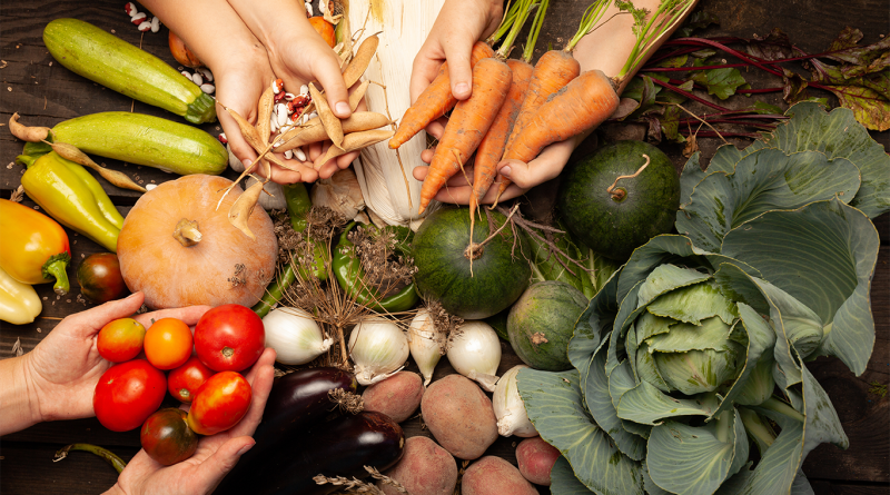 Hands holding fresh organic vegetables including carrots, tomatoes, cabbage, squash and zucchini arranged on a rustic wooden table