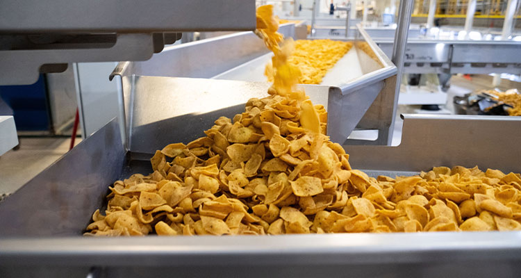 a large quantity of potato chips, a popular savory snack, being processed on a conveyor belt in a factory